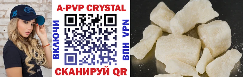 A PVP СК КРИС  Саранск 