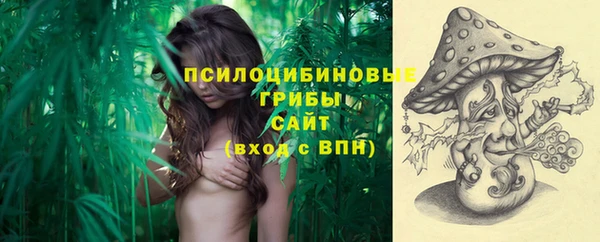 спиды Аркадак